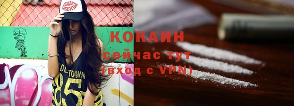 мет Каменка