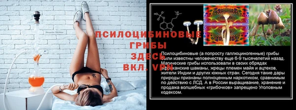 мет Каменка