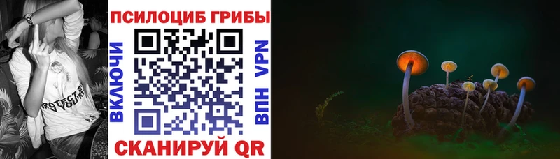 Купить закладки  Назарово  Псилоцибиновые грибы прущие грибы 